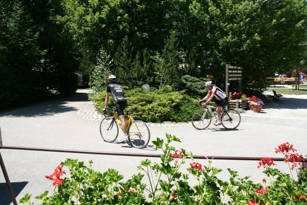 Hotel Camping Le Colporteur Le Bourg-dʼOisans Zewnętrze zdjęcie